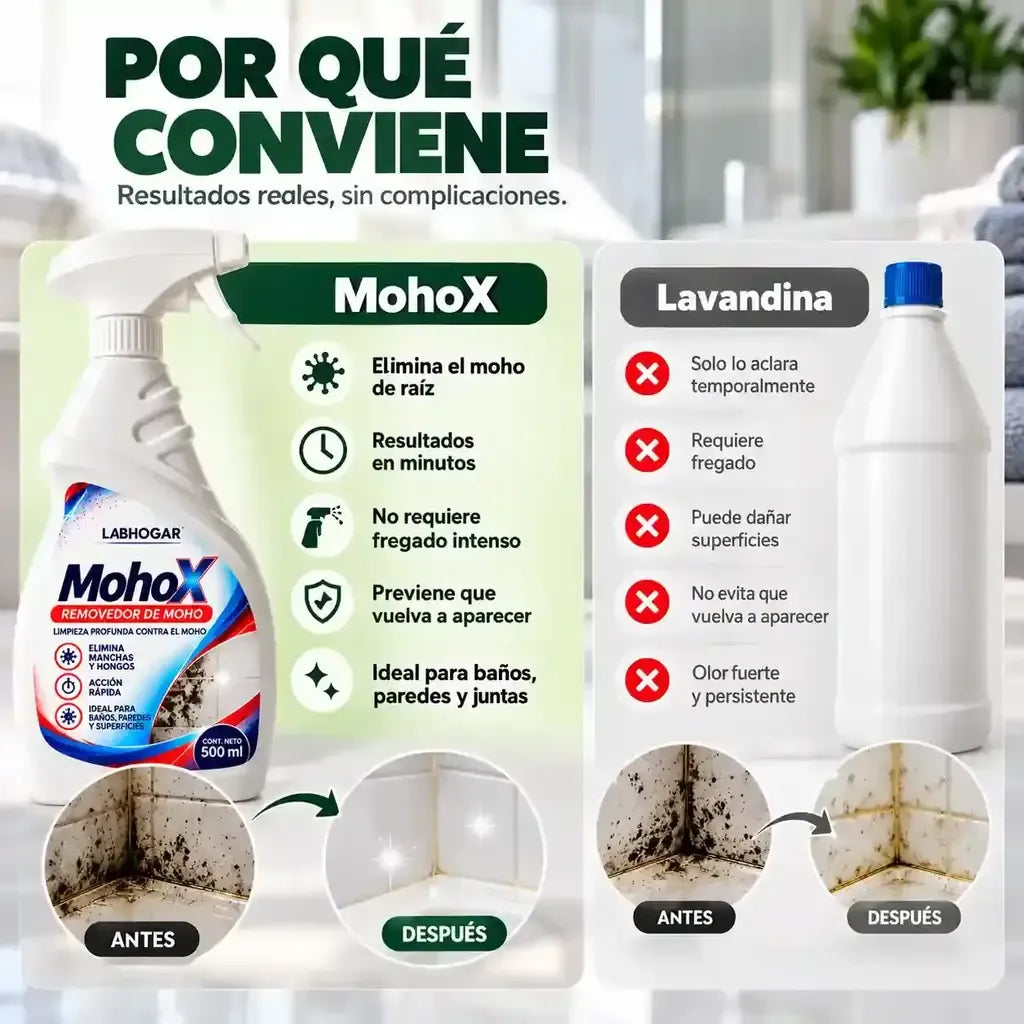 mohox info 2